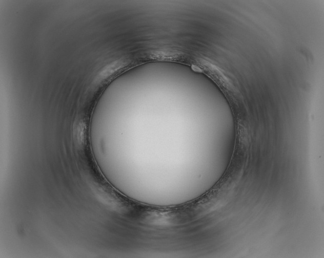 X0000112070071200908181229