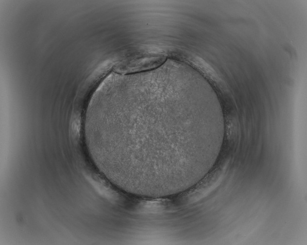 X0000112070072200908181229