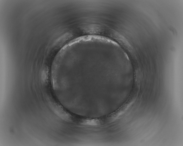 X0000112070073200908181229