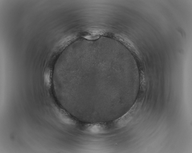 X0000112070074200908181229