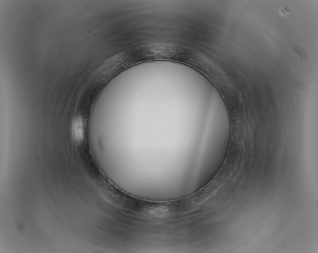 X0000112070075200908181229