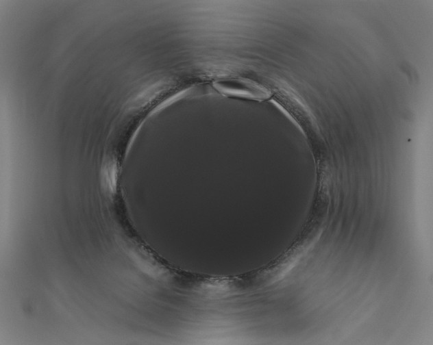 X0000112070076200908181229