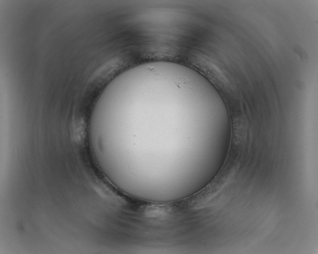 X0000112070077200908181229