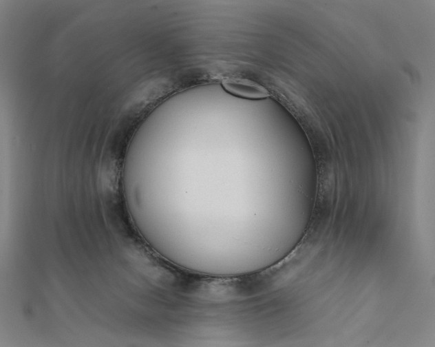 X0000112070078200908181229