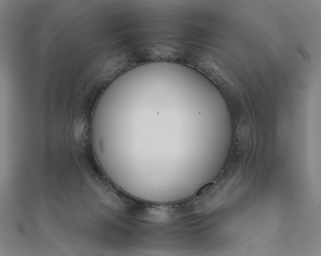 X0000112070079200908181229