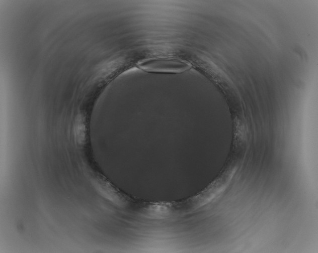 X0000112070080200908181229