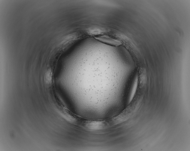 X0000112070081200908181229