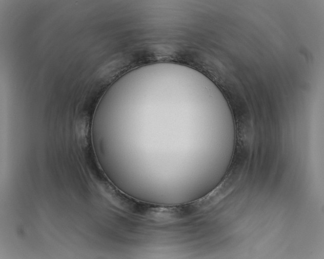 X0000112070082200908181229