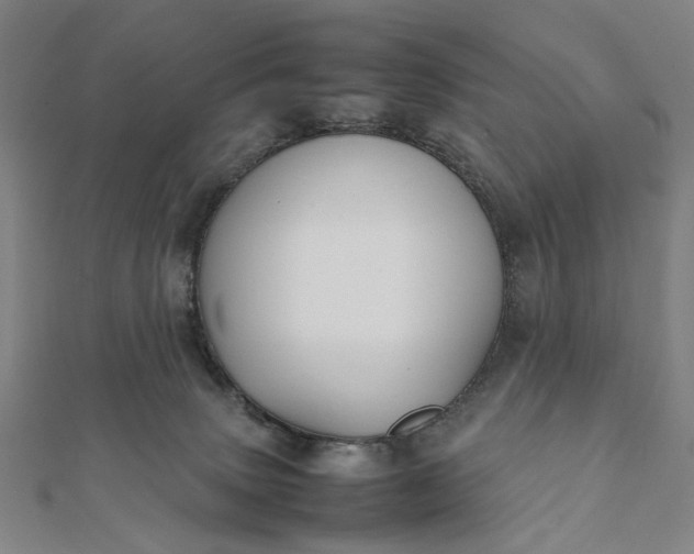 X0000112070083200908181229