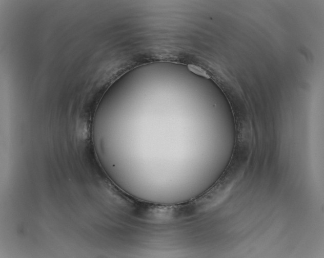 X0000112070084200908181229
