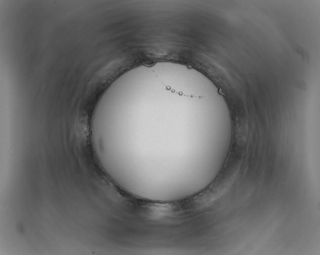 X0000112070085200908181230