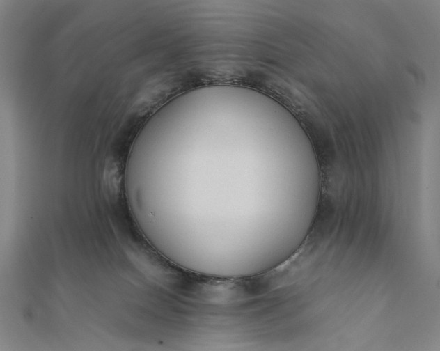 X0000112070086200908181230