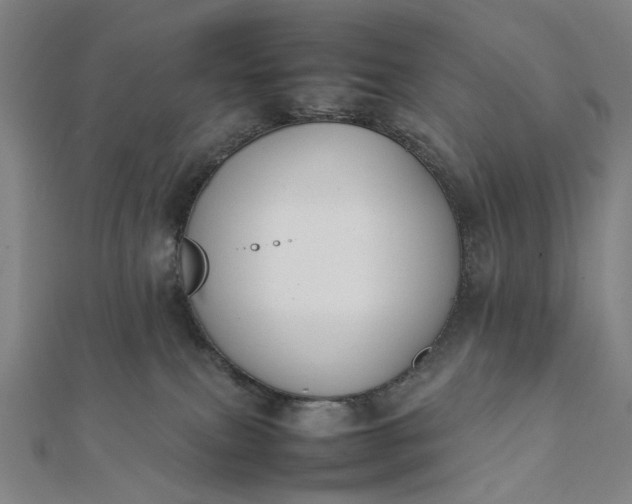 X0000112070087200908181230
