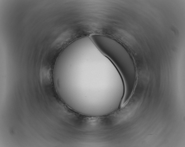 X0000112070088200908181230
