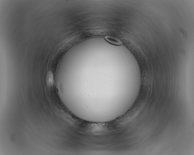 X0000112070089200908181230
