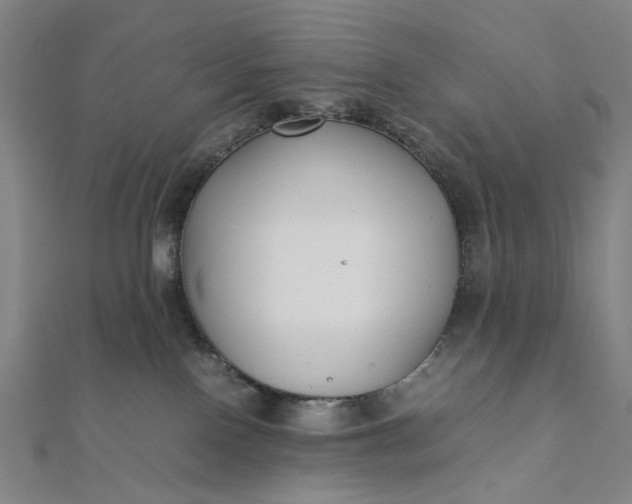 X0000112070090200908181230