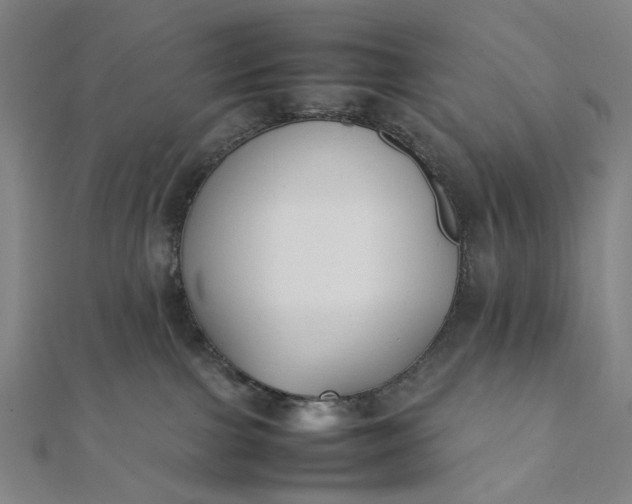 X0000112070091200908181230