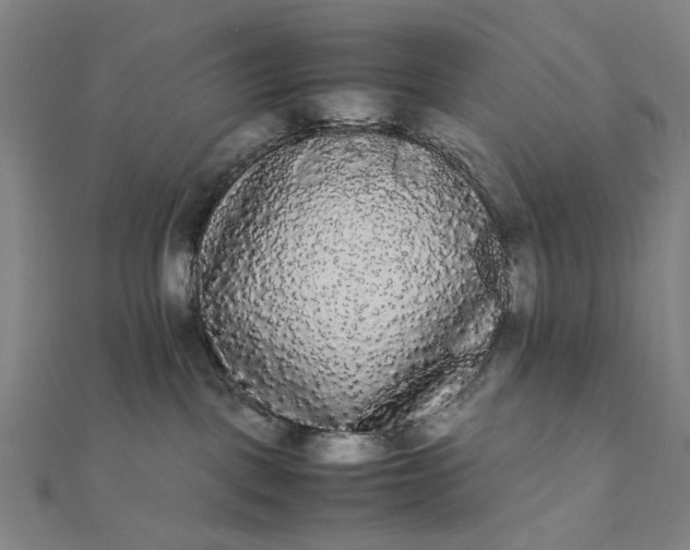 X0000112070093200908181230