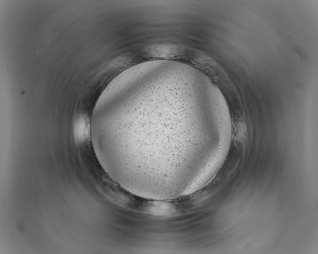 X0000112070095200908181230