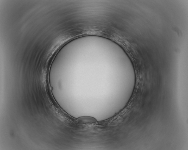 X0000112070098200908181229