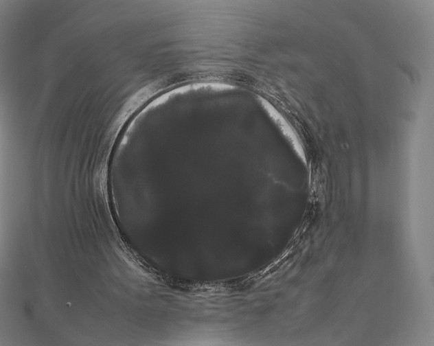 X0000112070099200908181229