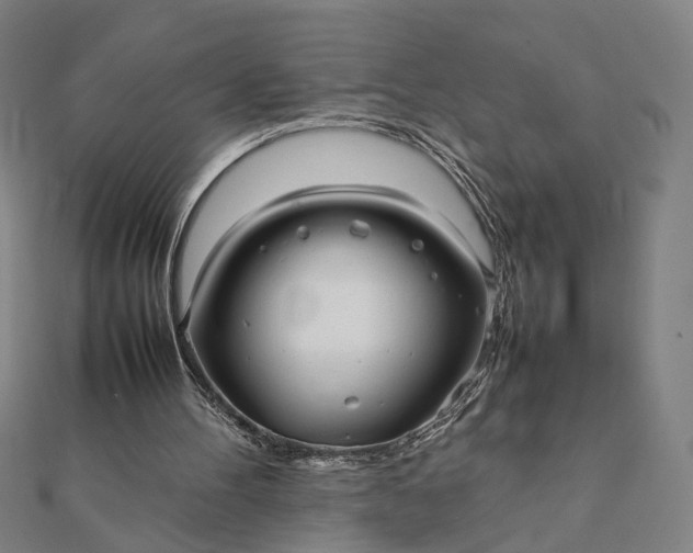 X0000112070100200908181229