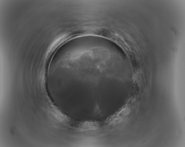 X0000112070101200908181229