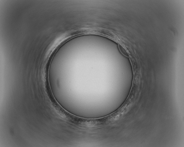 X0000112070103200908181229