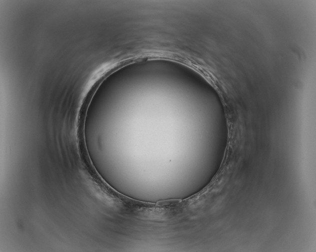 X0000112070104200908181229