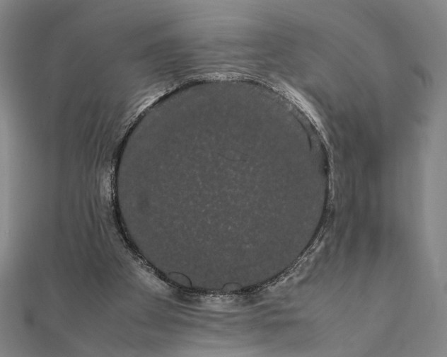 X0000112070105200908181229