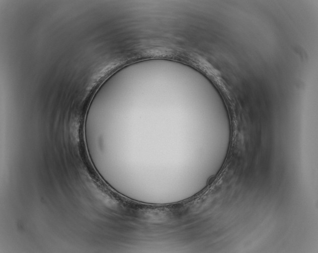 X0000112070106200908181229