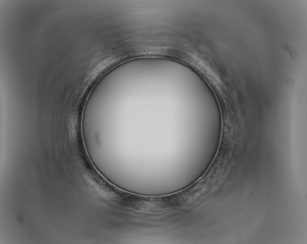 X0000112070107200908181229
