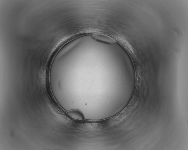 X0000112070108200908181229