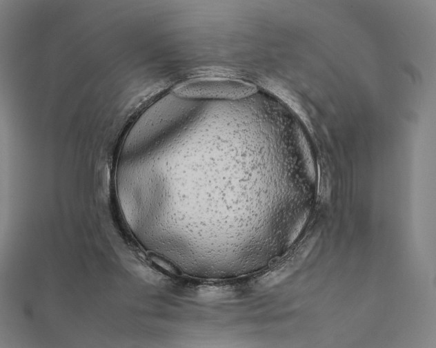 X0000112070109200908181229