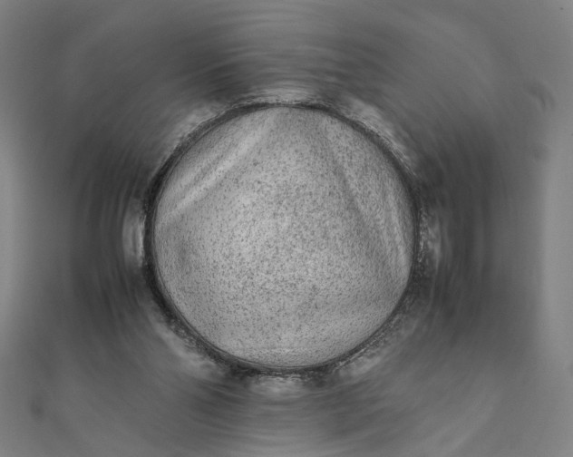 X0000112070110200908181229