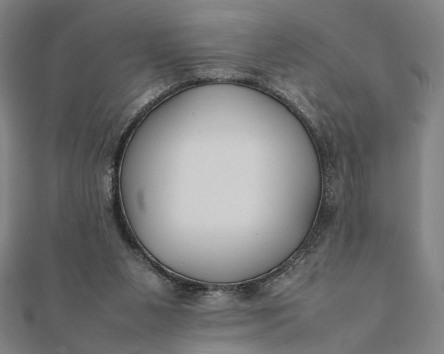 X0000112070111200908181229