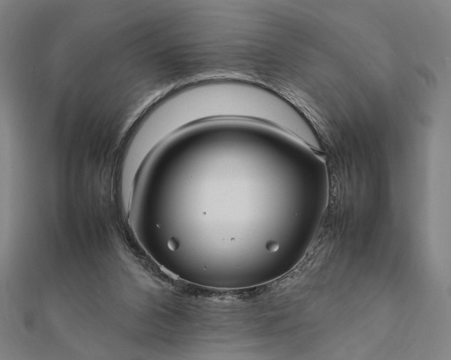 X0000112070112200908181229