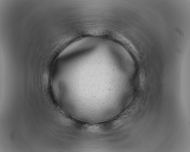 X0000112070113200908181229