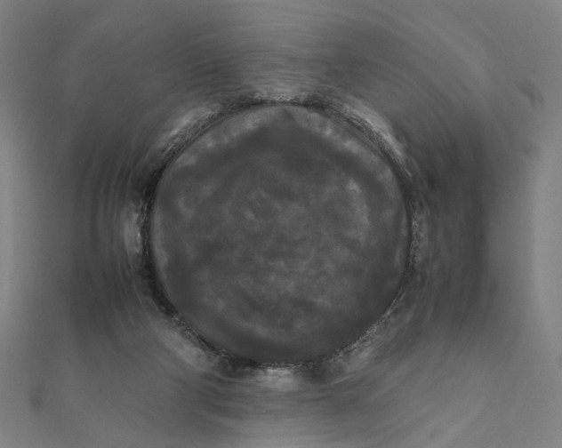 X0000112070114200908181229