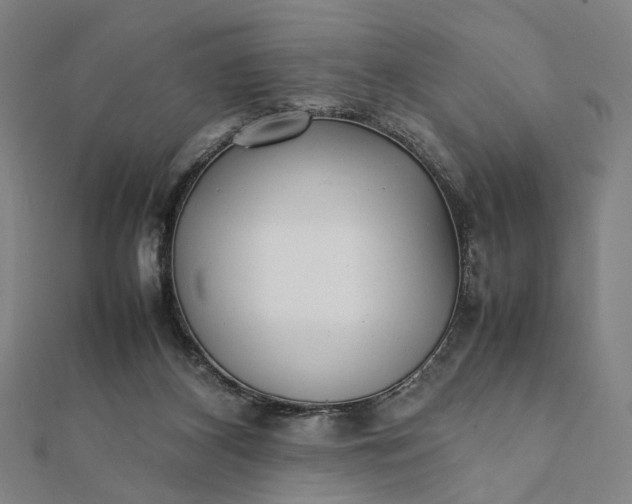 X0000112070116200908181229