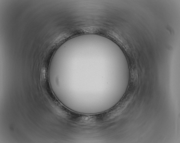 X0000112070117200908181229