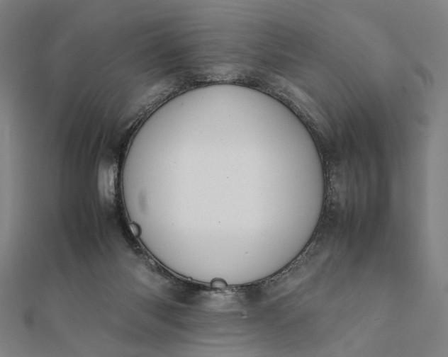 X0000112070118200908181229
