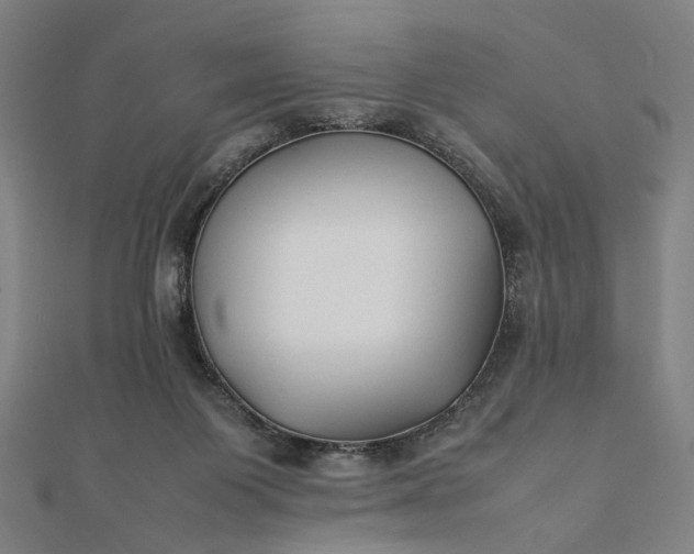 X0000112070119200908181229