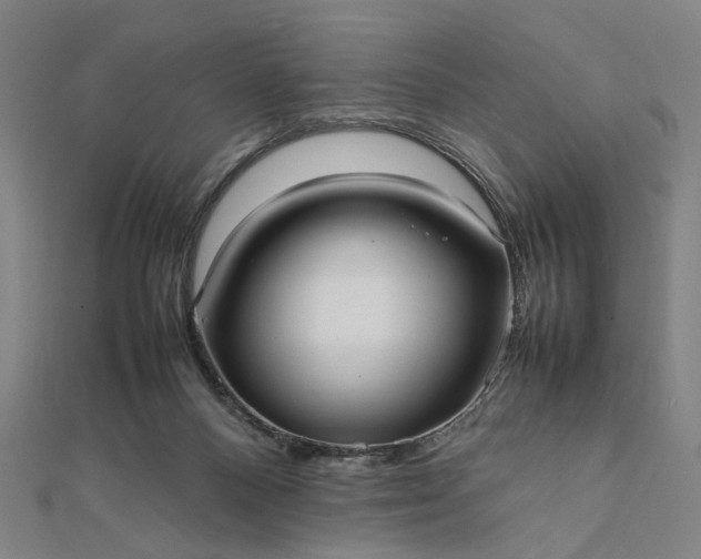 X0000112070120200908181229
