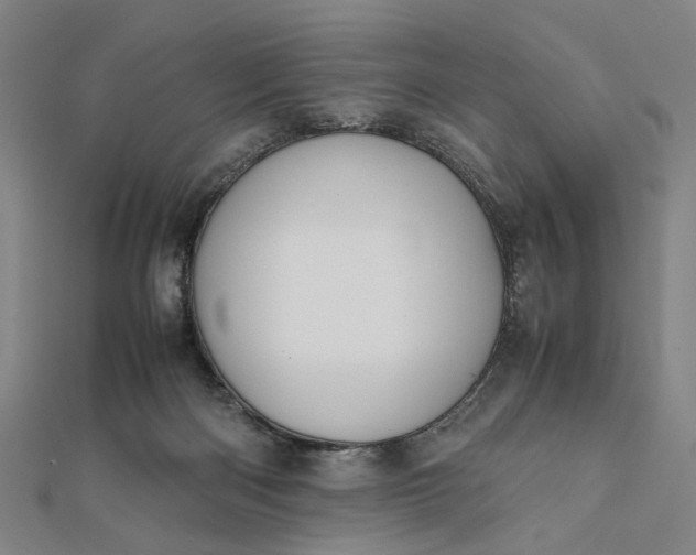 X0000112070122200908181229