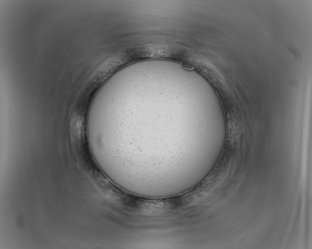 X0000112070123200908181229