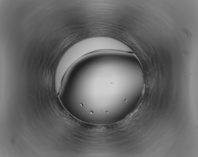 X0000112070124200908181229