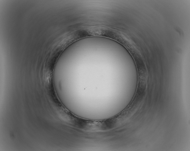 X0000112070125200908181229