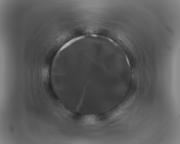 X0000112070127200908181229