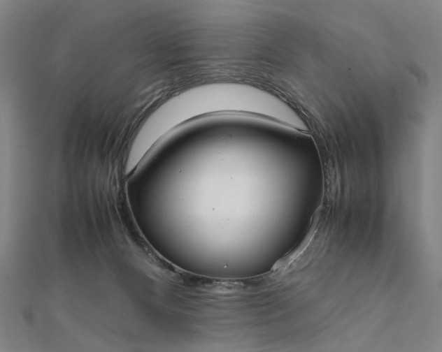 X0000112070128200908181229